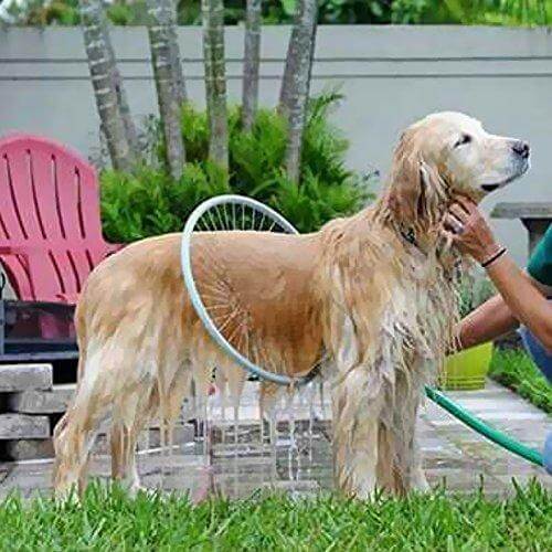 360° Pet Shower Tool - AquaPaws-State of Style