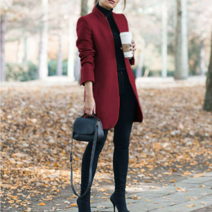 Women's Stand Collar Winter Coat with Timeless Design – Reginel