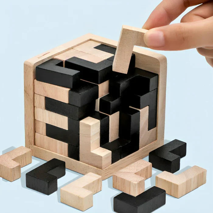 3D Wooden Brain Teaser - PuzzleMaster-State of Style