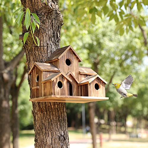 6 Hole Handmade Birdhouse - NestHaven-State of Style