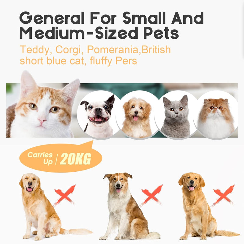 Waterproof Rear Bike Basket with Rainproof Cover – Velora