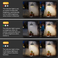 Solar Motion Barn Wall Lights with 3 Modes & Gooseneck Design (2 Pack) – Halden