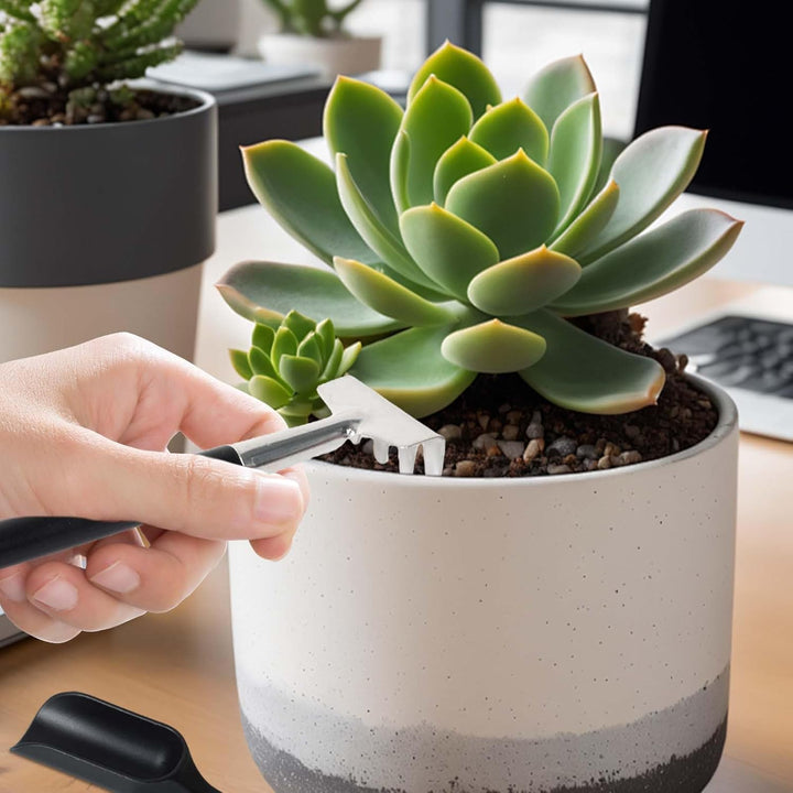 12-in-1 Succulent Tools Set with Storage Bag for Indoor Gardening