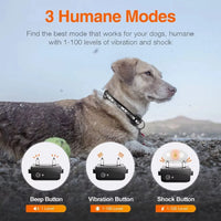 Rechargeable Electric Dog Training Collar with Remote & 1000m Range – PetControl