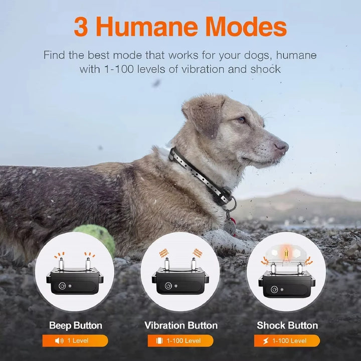 Rechargeable Electric Dog Training Collar with Remote & 1000m Range – PetControl