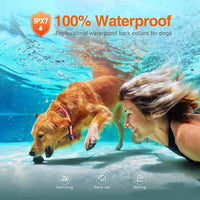 Rechargeable Electric Dog Training Collar with Remote & 1000m Range – PetControl
