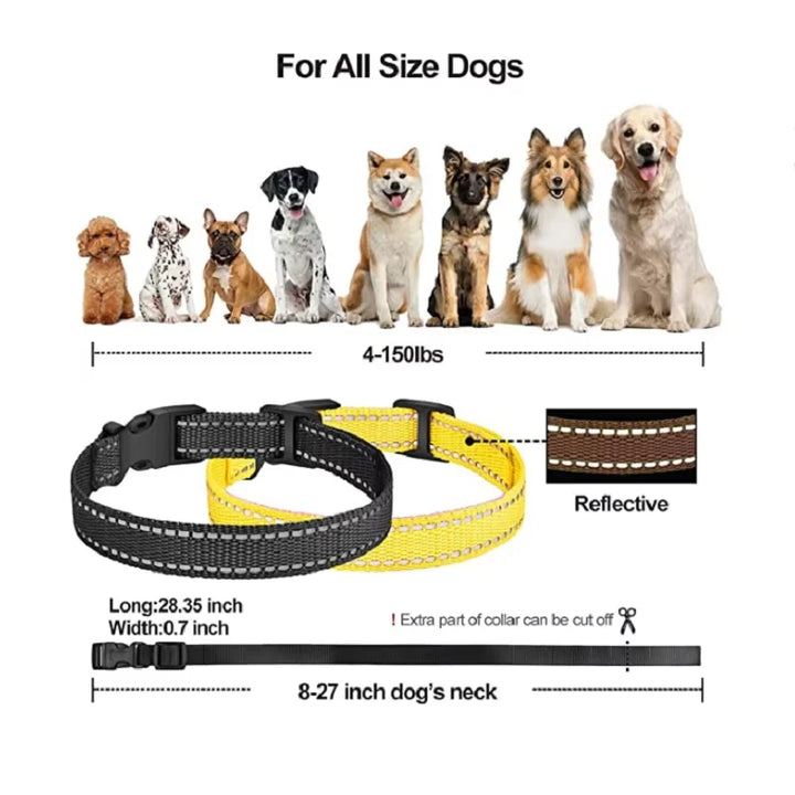 Rechargeable Electric Dog Training Collar with Remote & 1000m Range – PetControl