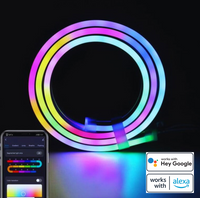 AA OUT OF STOCK Flexible LED Strip - FlexiGlow LED-1 meter-State of Style