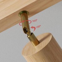 Adjustable Wooden Ceiling Spotlight - EcoLux-White Oak-1-Warm Wit-State of Style