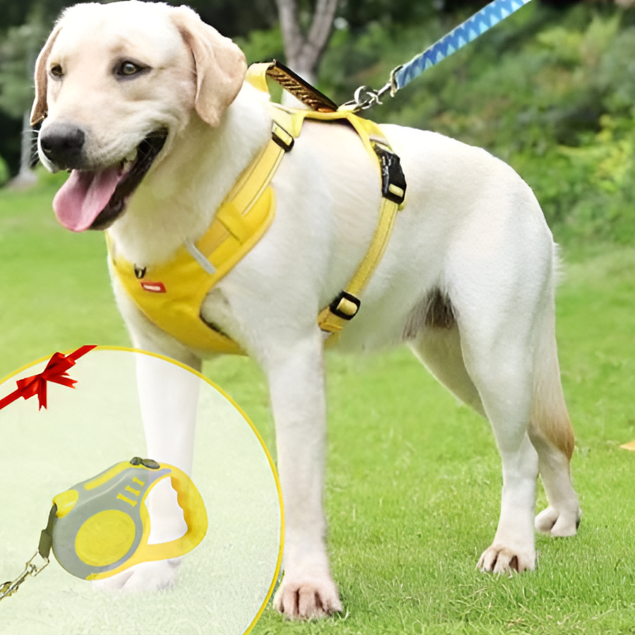 Anti-Trek Dog Harness - FlexiFit-Yellow-XS (2-5 KG)-State of Style