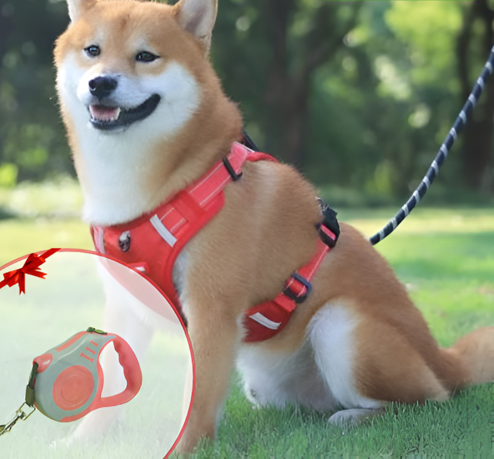 Anti-Trek Dog Harness - FlexiFit-Yellow-XS (2-5 KG)-State of Style