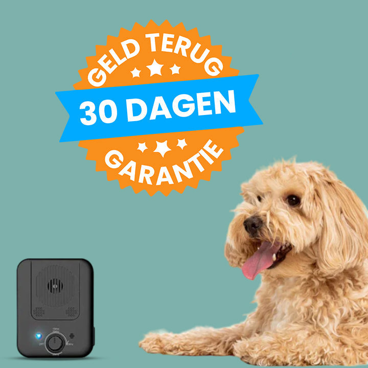 Automatic Bark Stopper - WoofControl-State of Style