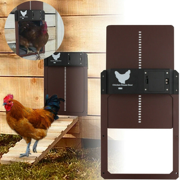 Automatic Chicken Coop Door System - SafeCoop-Brown-State of Style