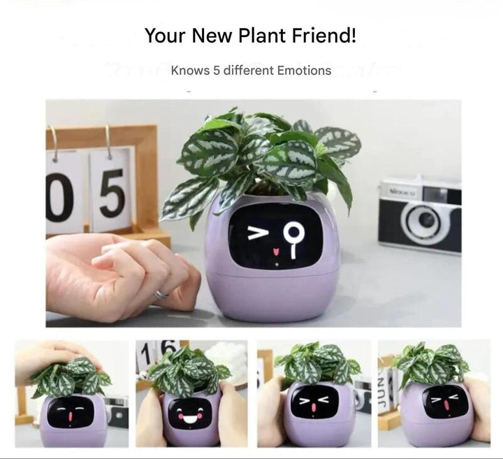 Automatic Smart Flowerpot - GreenBuddy SmartPot-Green-State of Style