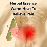 Back Pain Relief Kit - HerbalPatch-Kit for 30 days-State of Style