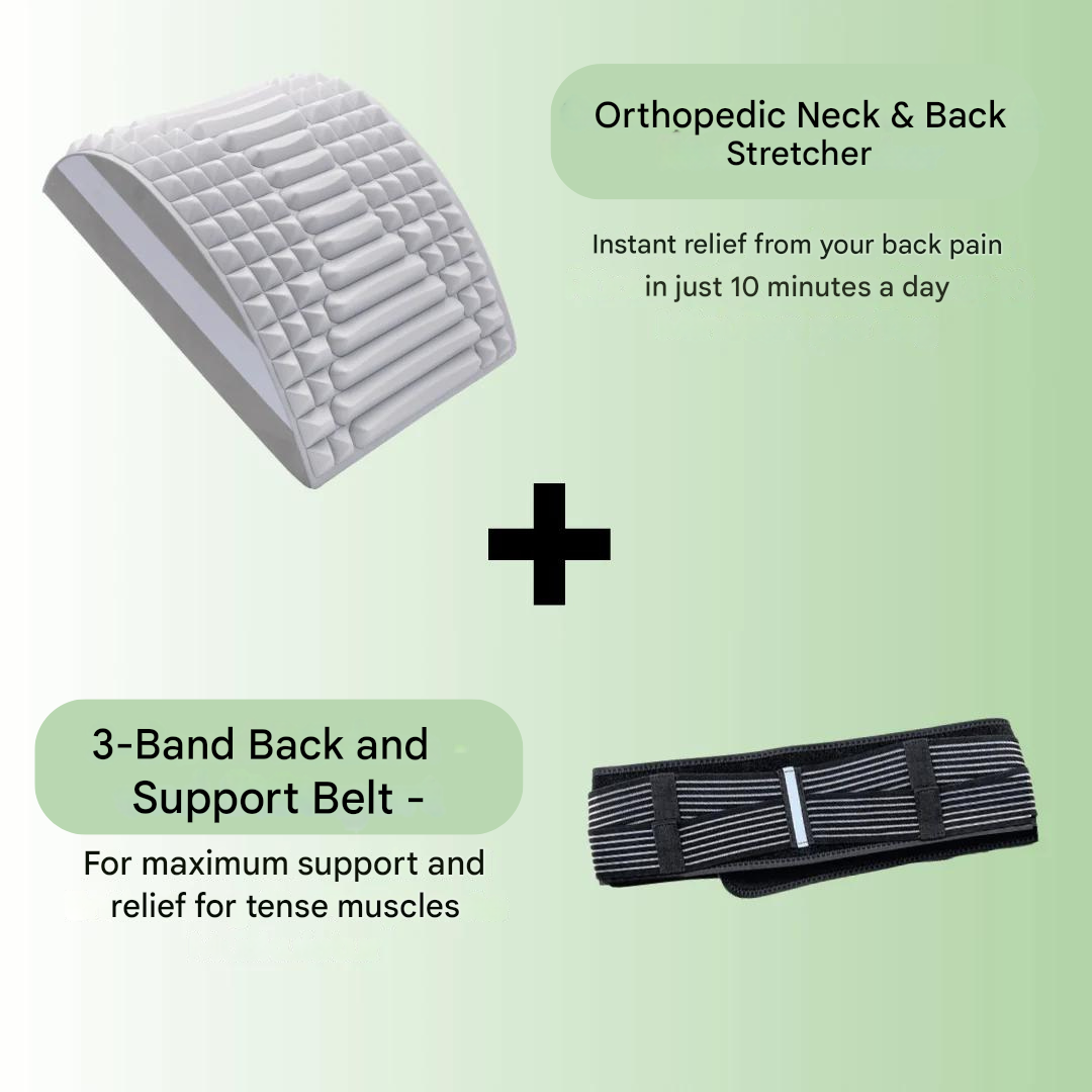 Back & Support Belt – TripleSupport-State of Style
