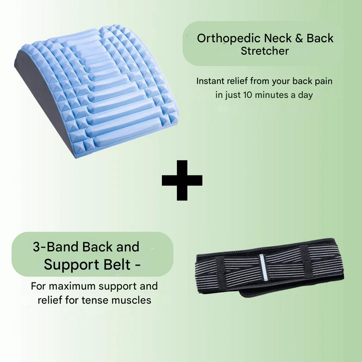 Back & Support Belt – TripleSupport-State of Style