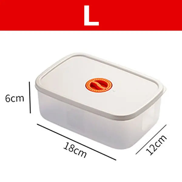 Bento Food Storage Containers - FreshKeeper-L-State of Style