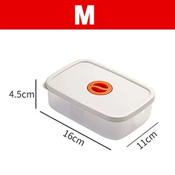 Bento Food Storage Containers - FreshKeeper-M-State of Style