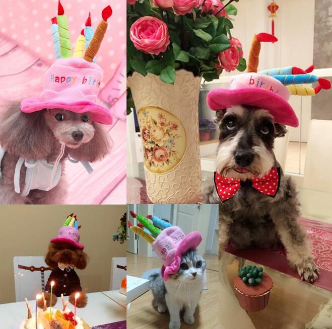 Birthday Hat for Dogs and Cats - PartyPaws-Blue-State of Style