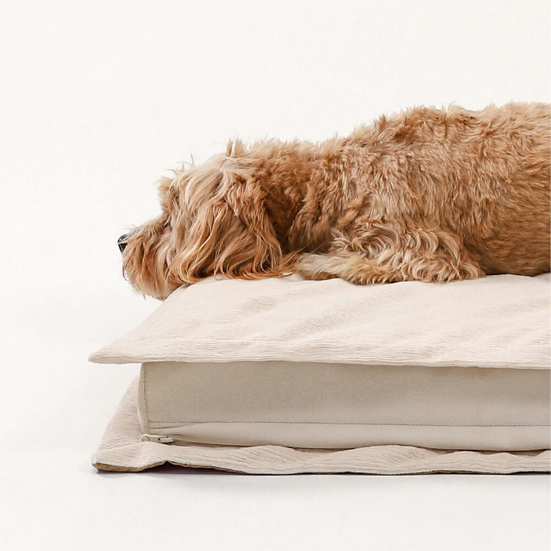 Calming Dog Bed - CozyCalm Deep Sleep-Beige-S-State of Style