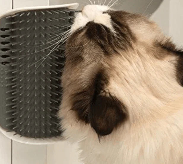 Cat Corner Brush for Self-Grooming - PurrGroom-Blue-9x13cm-State of Style