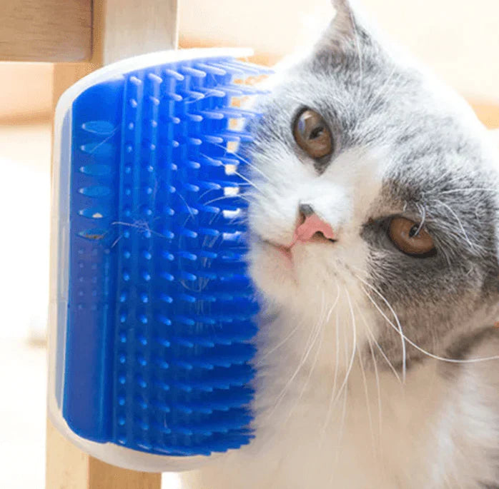 Cat Corner Brush for Self-Grooming - PurrGroom-Blue-9x13cm-State of Style