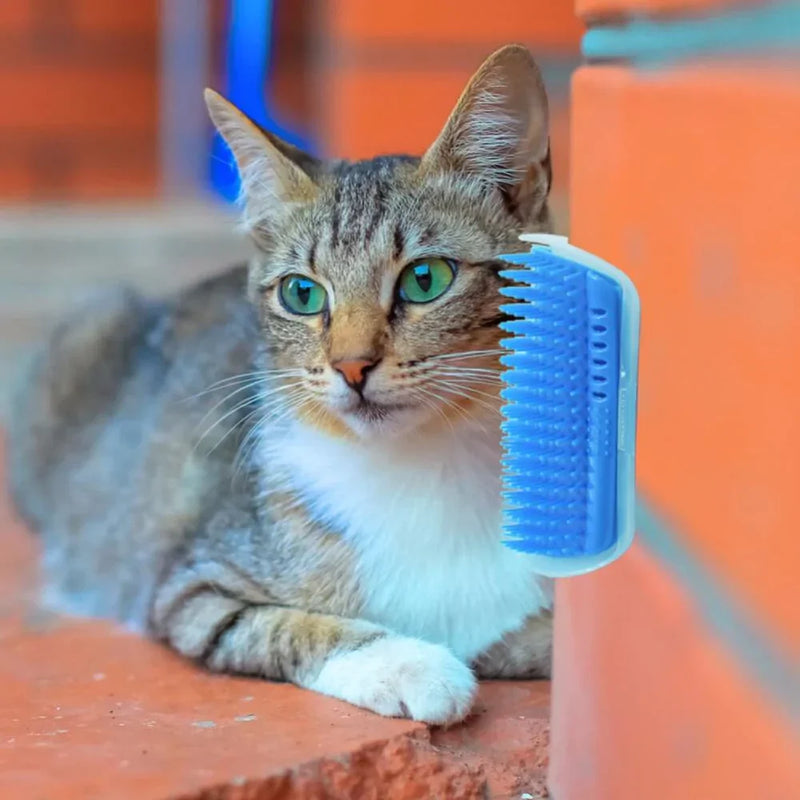Cat Corner Brush for Self-Grooming - PurrGroom-Blue-9x13cm-State of Style
