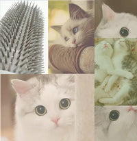 Cat Corner Brush for Self-Grooming - PurrGroom-Blue-9x13cm-State of Style