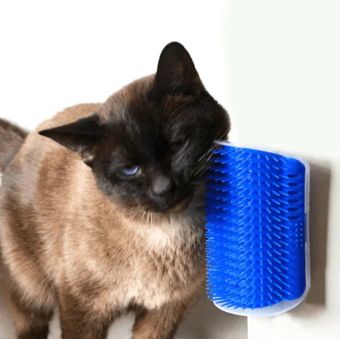 Cat Corner Brush for Self-Grooming - PurrGroom-Blue-9x13cm-State of Style
