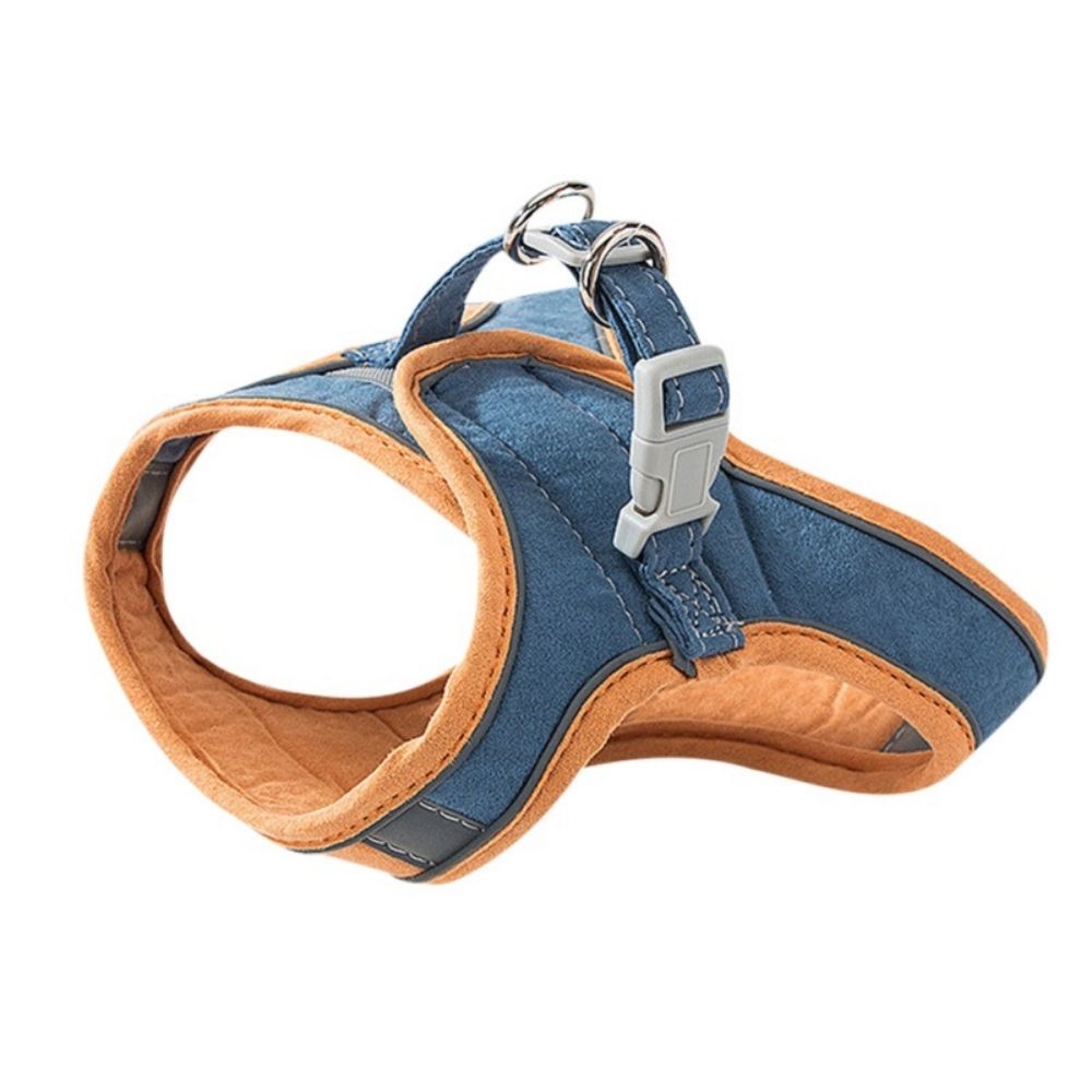 Cat Harness - Oscar-Blue | Orange-S-State of Style
