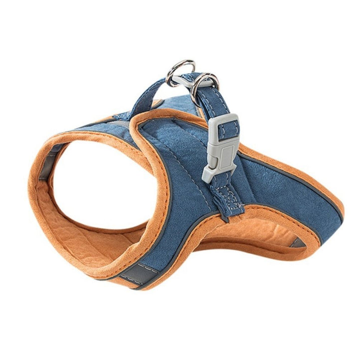 Cat Harness - Oscar-Blue | Orange-S-State of Style