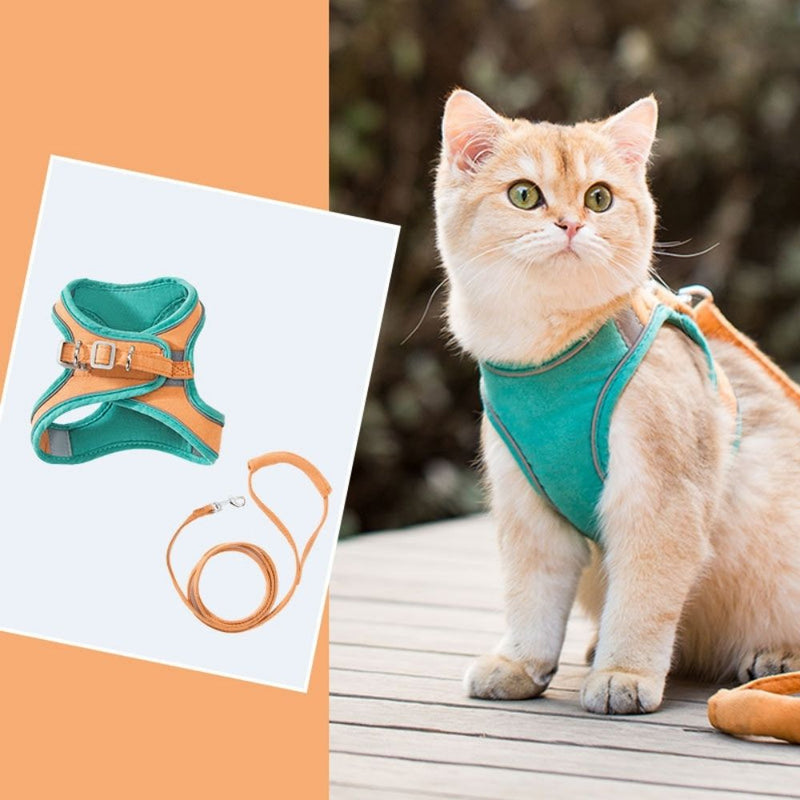 Cat Harness - Oscar-Orange | Teal-S-State of Style