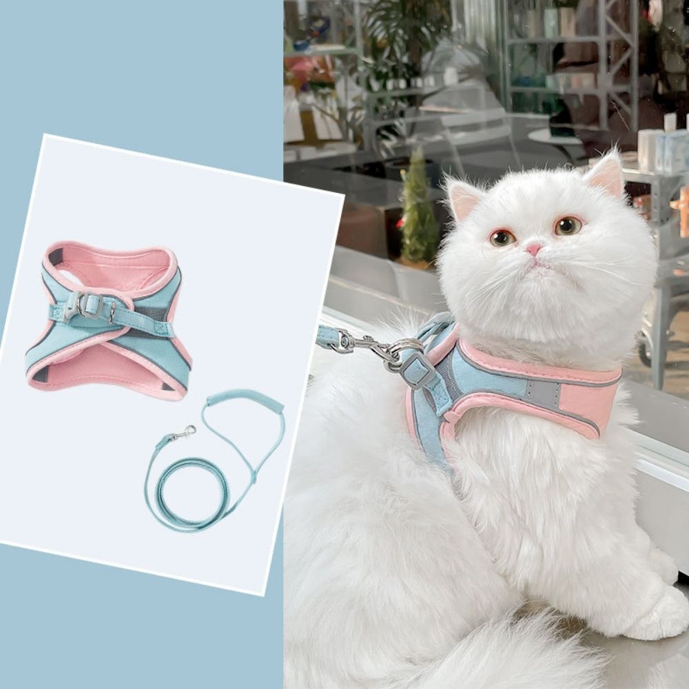 Cat Harness - Oscar-Orange | Teal-S-State of Style