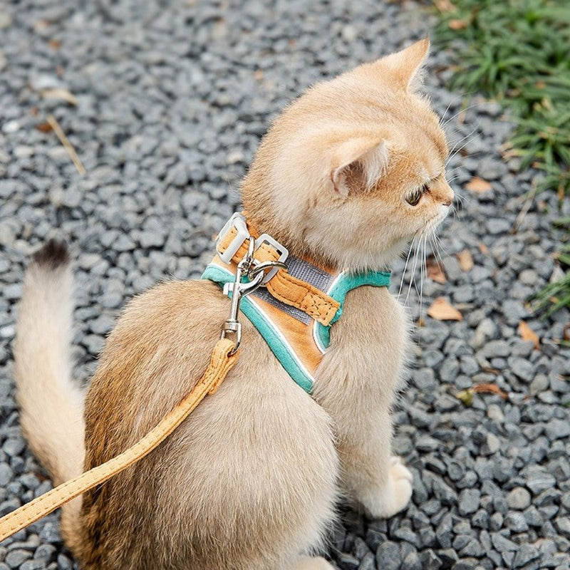 Cat Harness - Oscar-Orange | Teal-S-State of Style