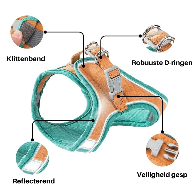 Cat Harness - Oscar-Orange | Teal-S-State of Style