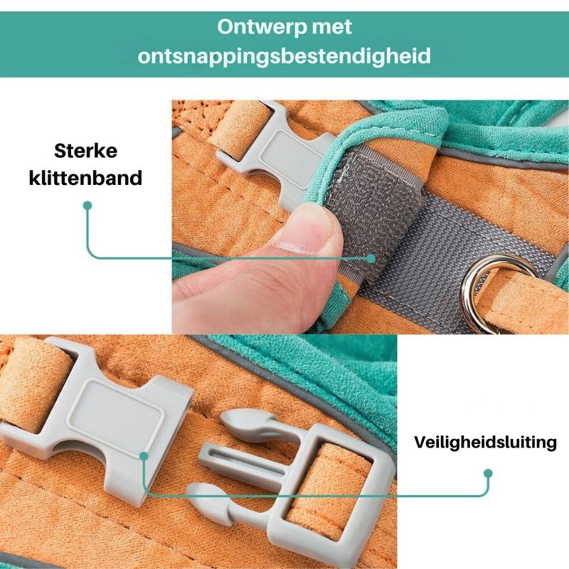 Cat Harness - Oscar-Orange | Teal-S-State of Style