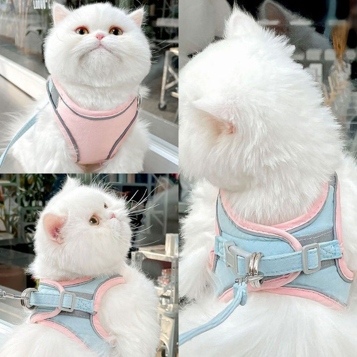 Cat Harness - Oscar-Orange | Teal-S-State of Style