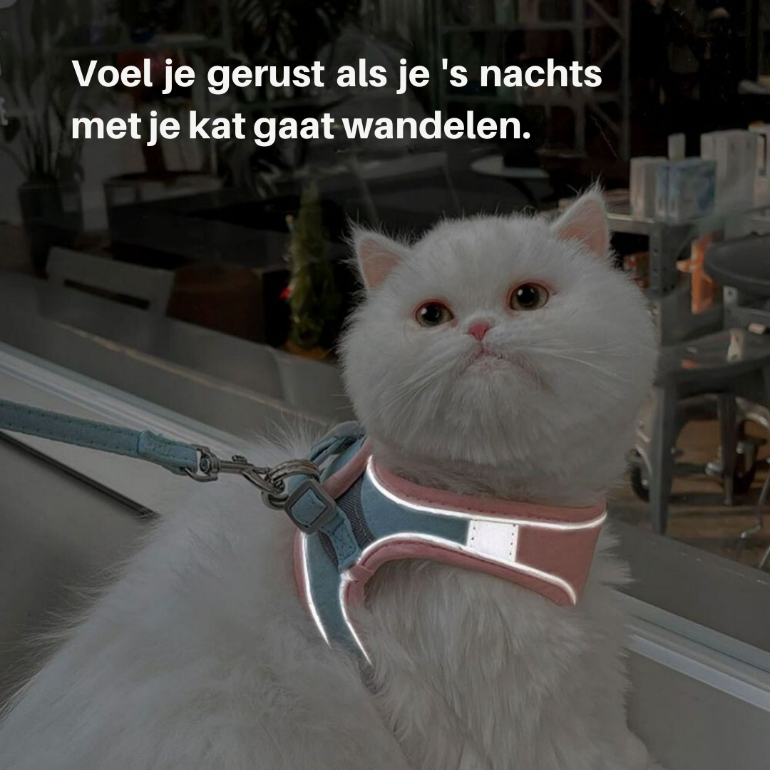 Cat Harness - Oscar-Orange | Teal-S-State of Style