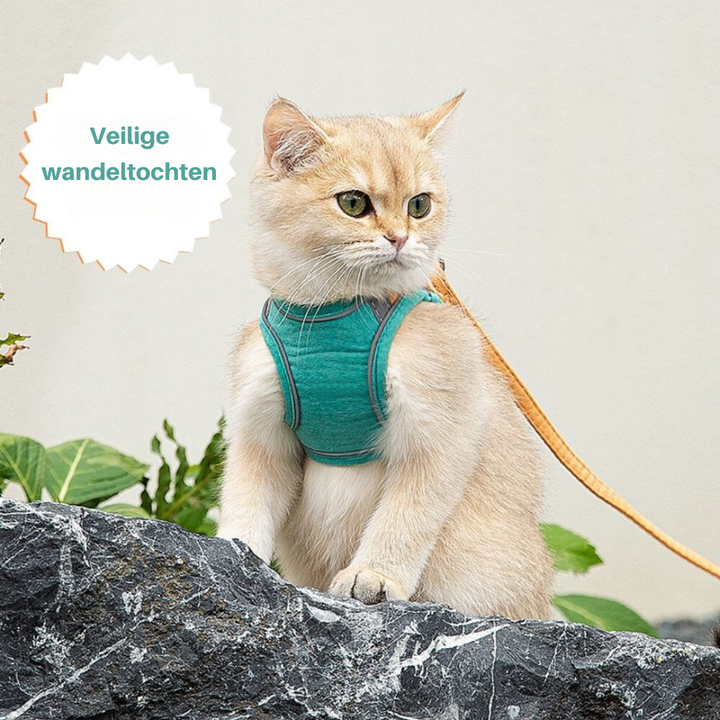 Cat Harness - Oscar-Orange | Teal-S-State of Style