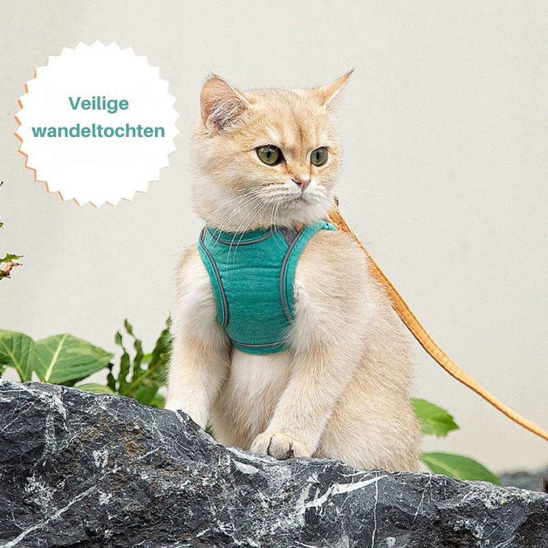 Cat Harness - Oscar-Orange | Teal-S-State of Style