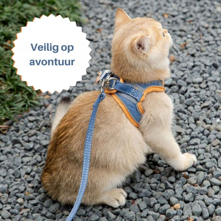 Cat Harness - Oscar-Orange | Teal-S-State of Style
