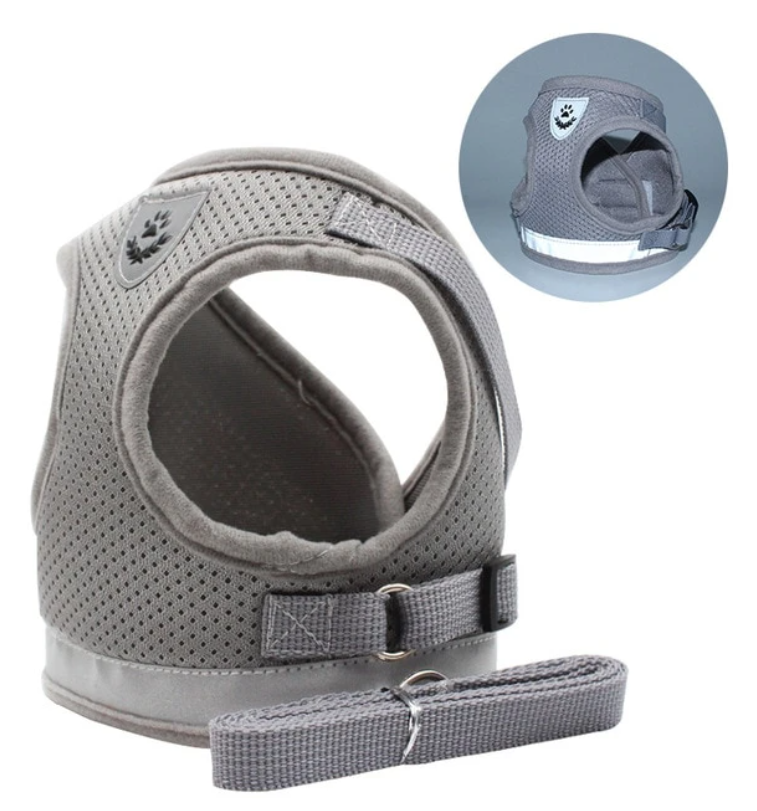 Cat Harness with Leash - AdventureKit-Black-S-State of Style