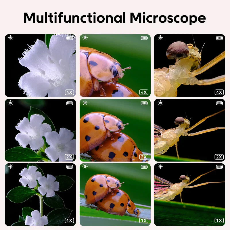 Child-friendly Digital Microscope – Zoomi-Pink-State of Style
