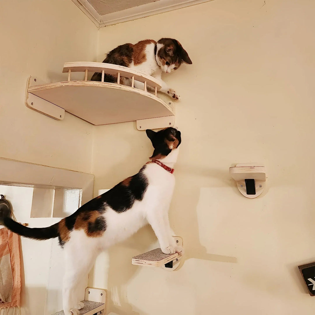 Climbing Wall Shelf for Cats with Scratching Post - ClimbPaws-Striped Cat Hammock-State of Style