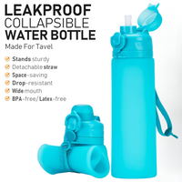 Collapsible 600 ml Silicone Water Bottle - Leakproof & BPA-free-Black-State of Style