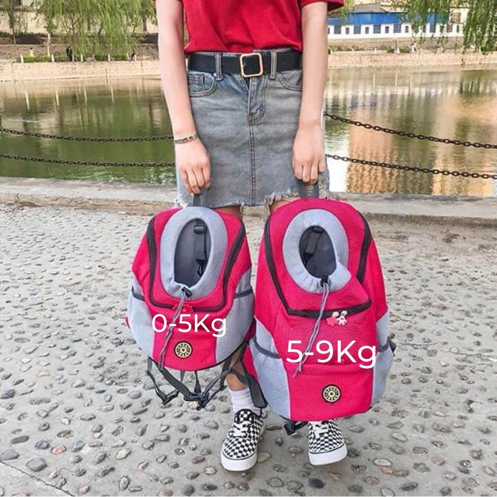 Comfortable and Safe Dog Backpack - BuddyPack-Black-0-5 Kg (30x34x16cm)-State of Style