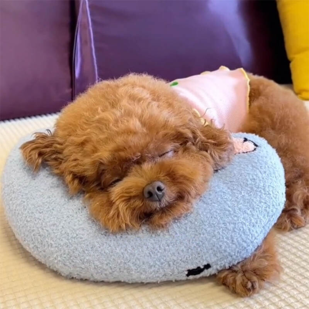 Comfortable Cushion for Dogs - CalmNest-Blue-State of Style