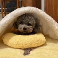 Comfortable Cushion for Dogs - CalmNest-Yellow-State of Style
