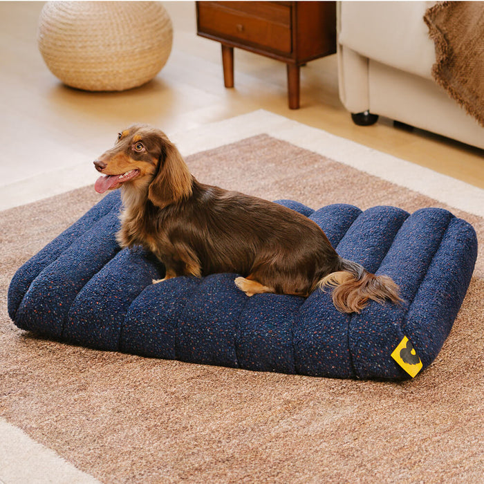 Comfortable Dog Bed - CheesecakeComfort Bed-M-Blue-State of Style